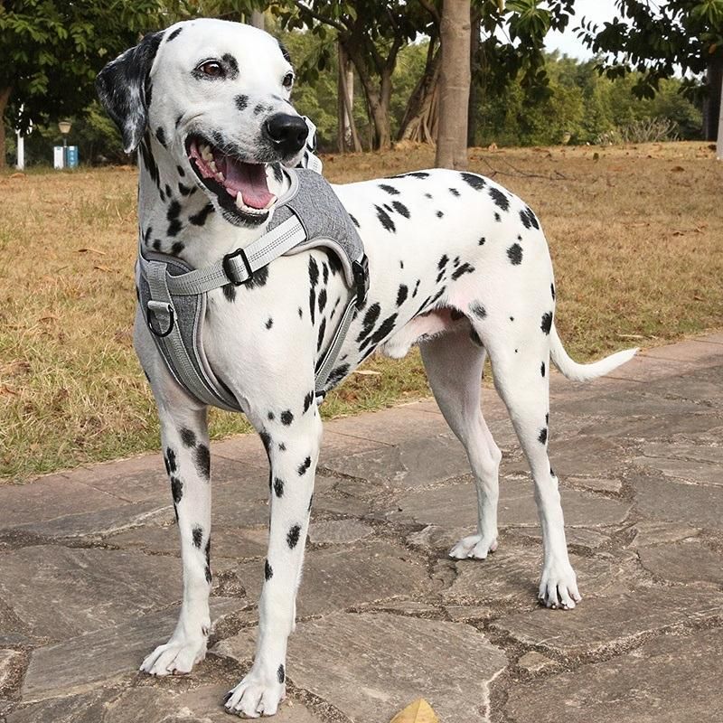Comfortable Outdoor Fun Time No-Pull Nylon Solid Color Anti Bite Dog Harness