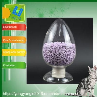 Pet Supply: Tofu Cat Litter with Best Sell