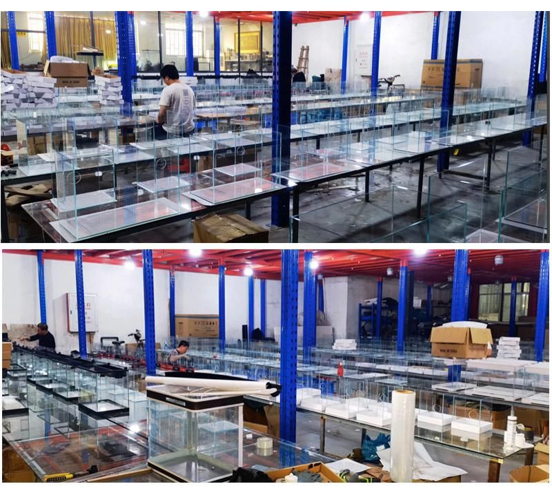 Underwater Marine Water Used Titanium Alloy Heater 300W