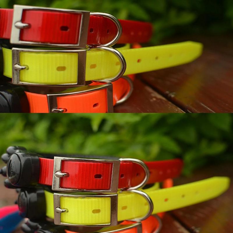 LED Light up Collar Jewel Style Dog Collar TPU Material