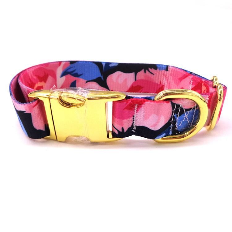 Gold Buckle Collar Lettering Dog Collar Metal Laser Buckle