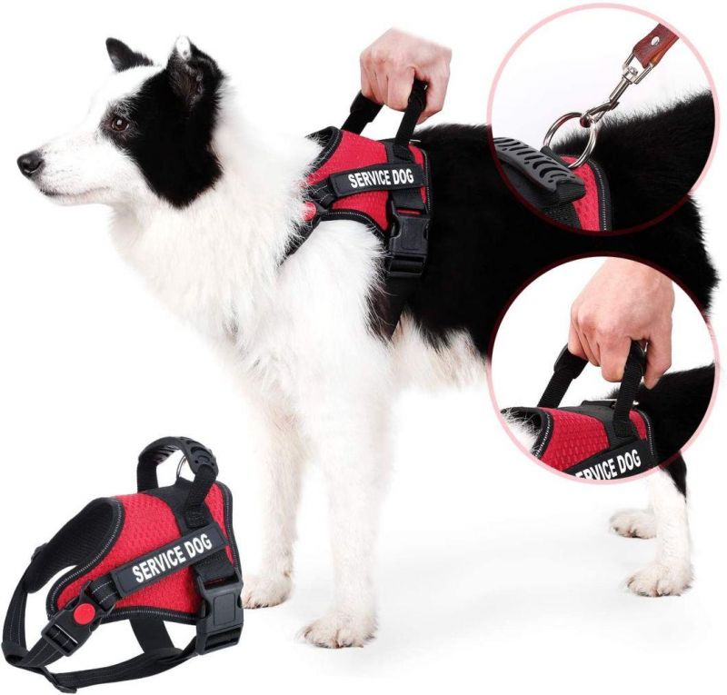 Rabbitgoo High-Quality Oxford Materials Plus No Pull Dog Harness Plus Easy Walk Function