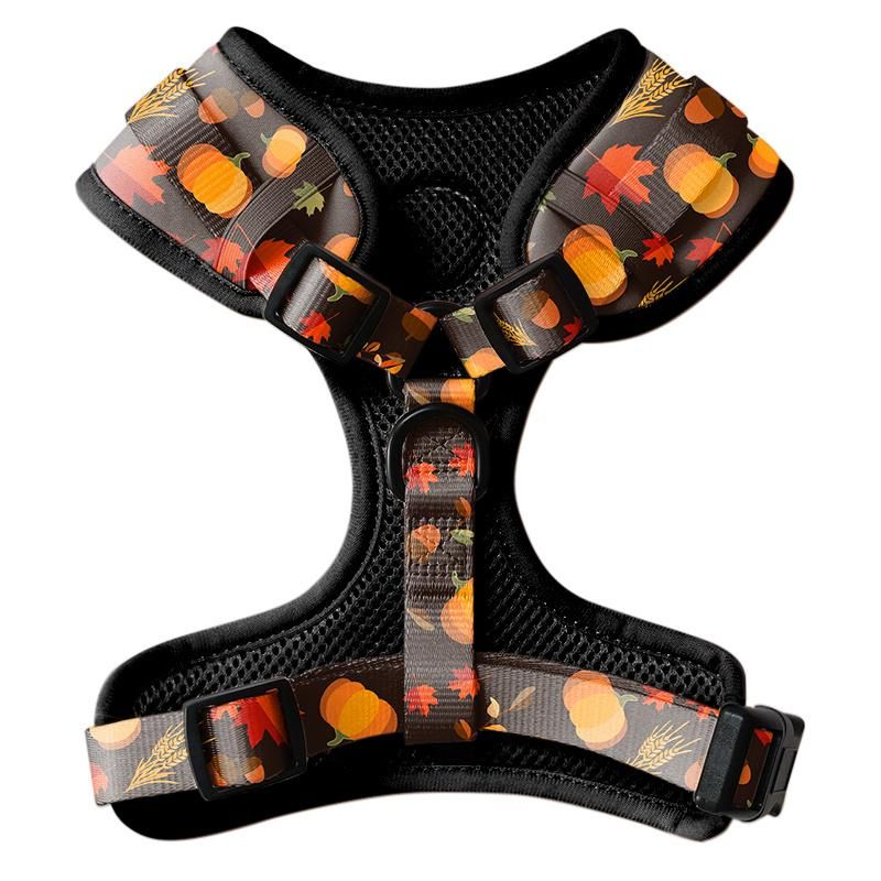 Factory Hot Sale Cute Maple Leaf Pumpkin Pet Chest Back, Pet Harness, Dog Product.