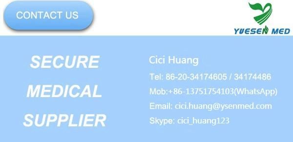 Ysvet8103 High Quality 304 Stainless Steel Cheap Veterinary Cage