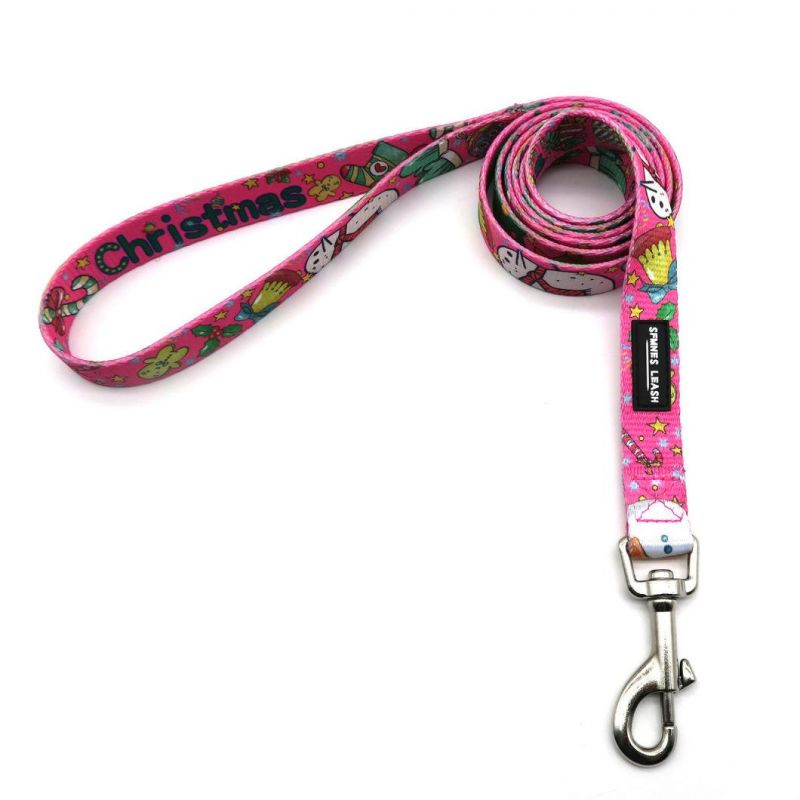 Soft Pet Leash and Collar Set for Dog