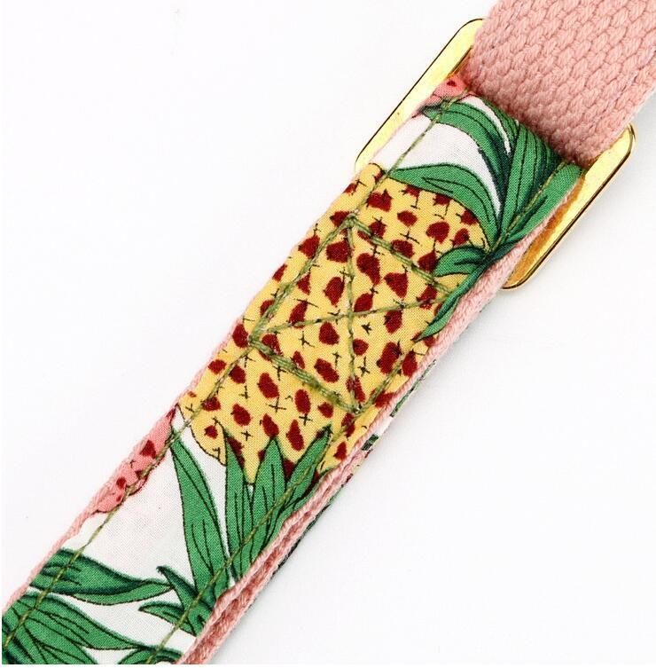 Fashion Design Cotton Webbing Lining and Custom Printed Polyester Dog Collar and Leash with Stainless Buckle