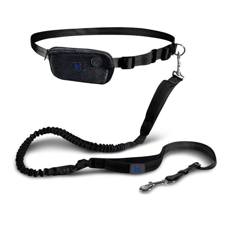 Premium Hands Free Adjustable Length Dual Handle Bungee Leash for Medium Large Dogs with Neoprene Padded Handles