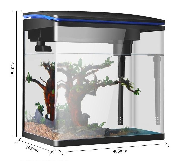10-Gallon Aquarium Glass Tank Kit with Light and Filter Pump