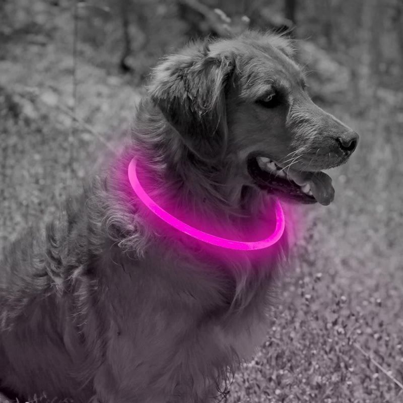 Spupps LED Dog Collar Light for Small Medium Large Dogs