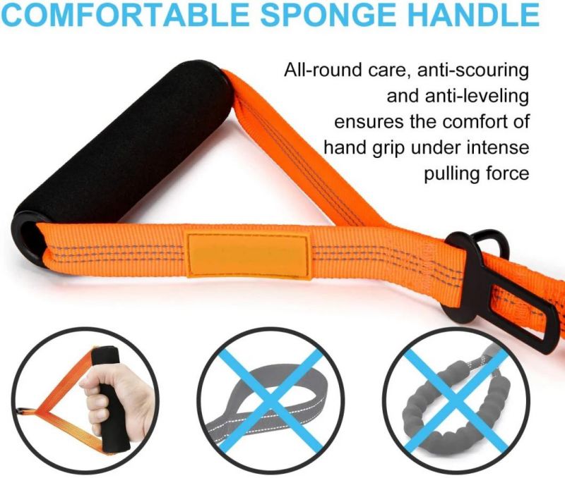 Reflective Bungee Dog Leash with Comfort Padded Handles