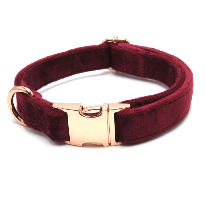 OEM Adjustable Luxury Soft Velvet Cat Dog Collar and Leash Set Custom Comfort Cotton Webbing Rose Gold Metal Buckle
