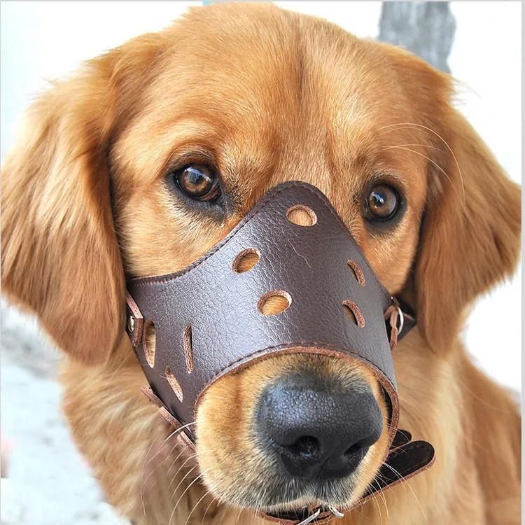 Adjustable Leather Dog Muzzle Anti Bark Bite Chew Dog Training Products for Outdoor Pet Products