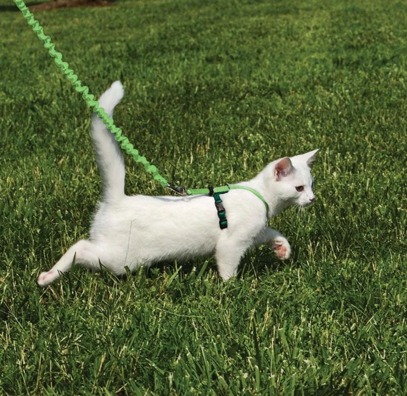 Patented Design Cats Leashes No-Pulling Cat Collars Best Cat Supplies