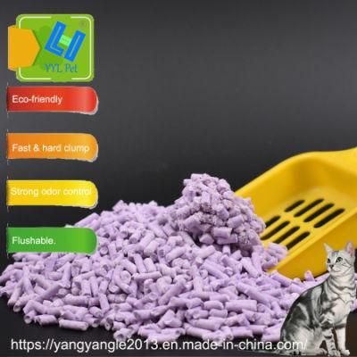 Pet Accessories: Nature Tofu Cat Litter