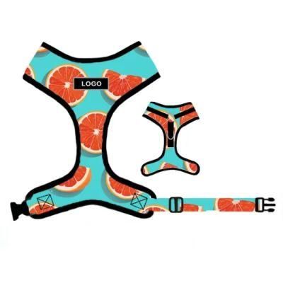 Hot Sale Custom Dog Harness with Adjustable Collar Leash/Various Colors/Pet Accessory/ Pet Accessories/ Pet Supply/ Pet Products/Factory Price