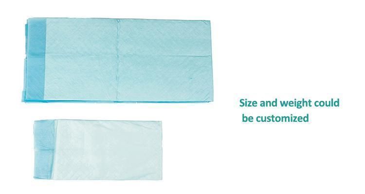 OEM Brands Premium Quality Super Absorbency Disposable Pet Pads Manufacturer in China