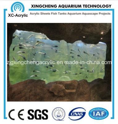Acrylic Sheet for Aquarium/Factory Direct Sale