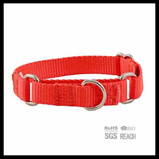 Hotsell Strong Durable Nylon Pet Dog Training Collar