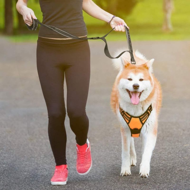 Bungee Dog Walking Leash, 5.6FT Heavy Duty with 2 Control Handles & Car Seat Belt