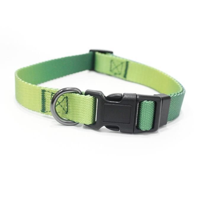 Gradient Dog Collar Durable and Fashionable Style