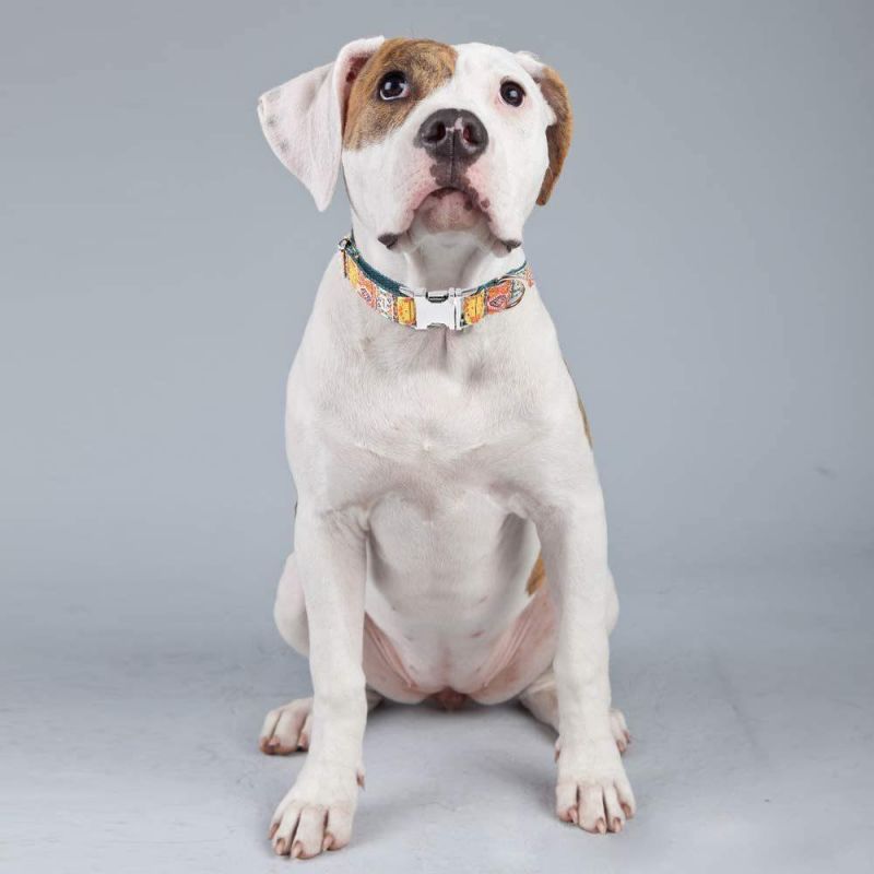 Unique Style Flower Print Adjustable Soft Dog Western Collars Martingale Heavy Duty Nylon Dog Collar