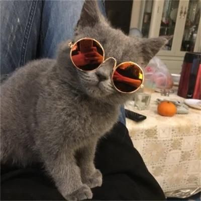 Dog Sunglasses Cat Pet Products Lovely Vintage Round Reflection Eyewear