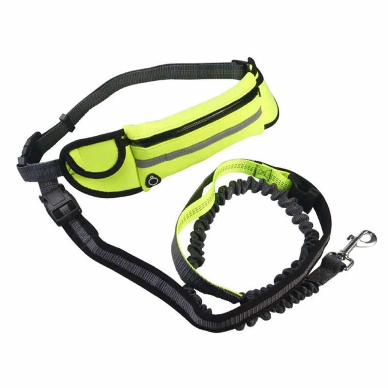 Amazon Running Hands Free Bungee Dog Leash/Pet Collar Leash