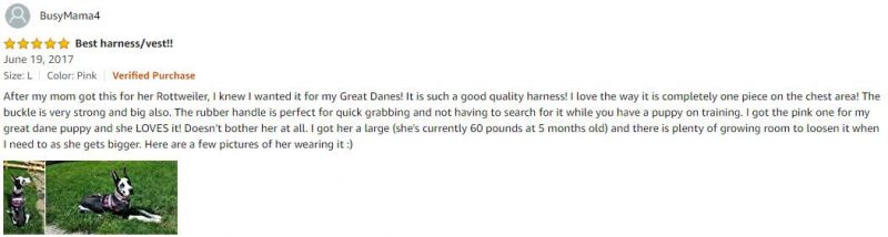 5 Stars Rating No Pull Adjustable Training Dog Pet Vest Harness