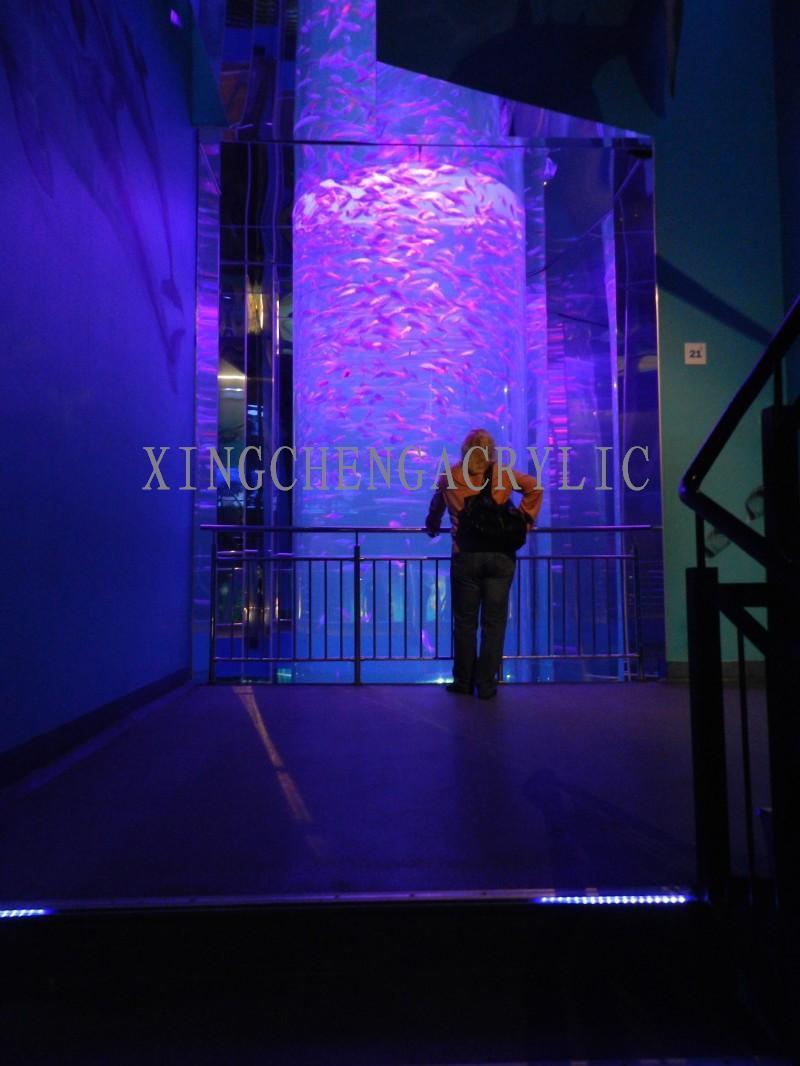 Large Fish Aquarium Fish Tank Project
