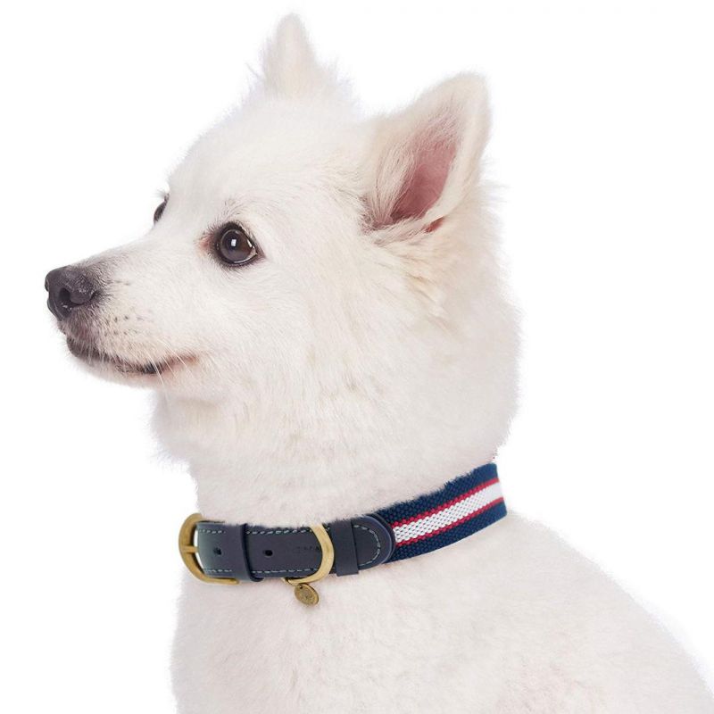 Polyester Fabric Leather Webbing Pet & Dog Accessories Collar