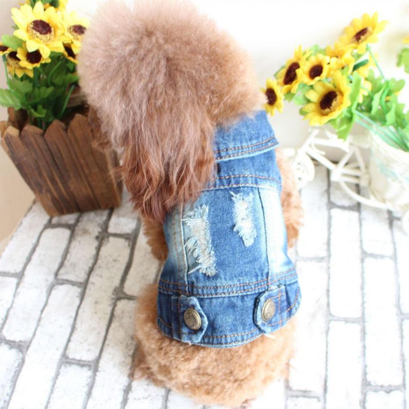 Dog Jeans Jacket Cool Blue Denim Coat