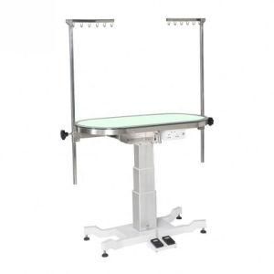 Pet Electric Ace Deluxe Dog Grooming Table with LED Light