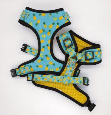 Different Color Printing Design Full Set Padded Dog Harness