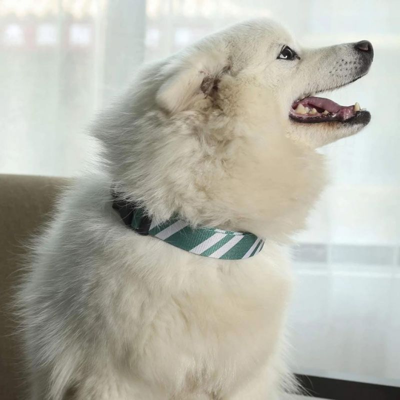 Wizard School Printing Adjustable Collars with Funny Leash for Pets