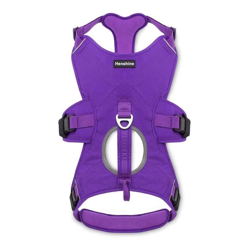 Padded & Breathable Control Dog Walking Harness for Big/Active Dogs