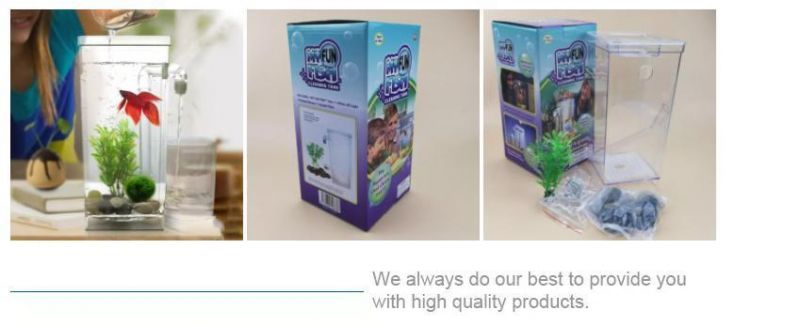 Customized Acrylic Fish Tank External Filter Can Be Placed on The Desktop