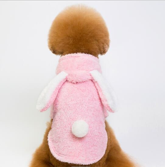 High Quality Dog Clothes for Rabbits