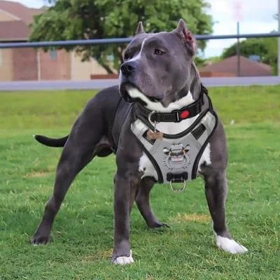 High Resistance to Tear Reflective Oxford Material Soft Vest Pet Harness