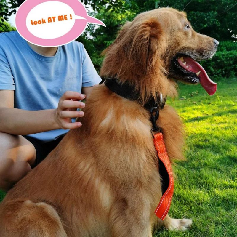 Great Control Highly Reflective Short Dog Lead