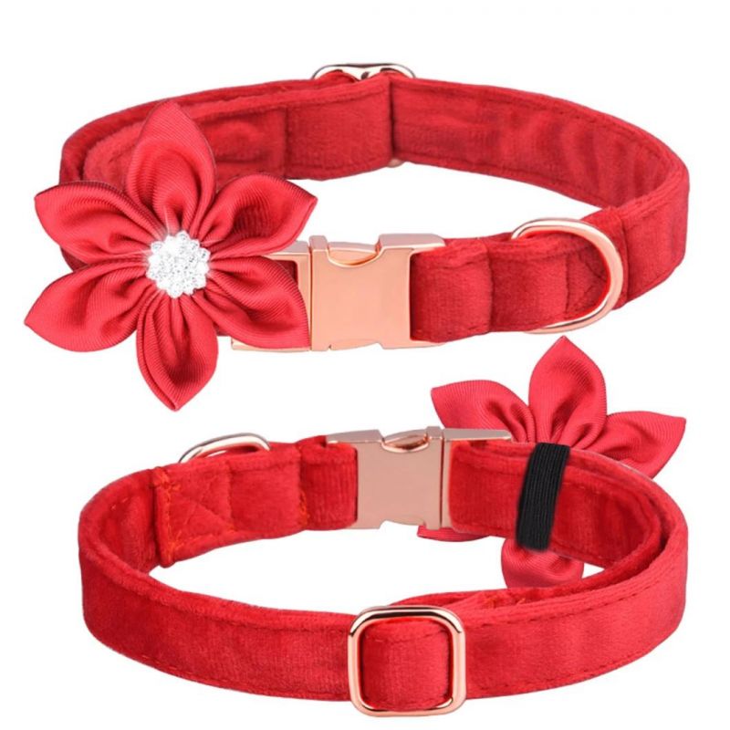 Dog Collar Set Dog Leash Hexapetalous with Rhinestone Design