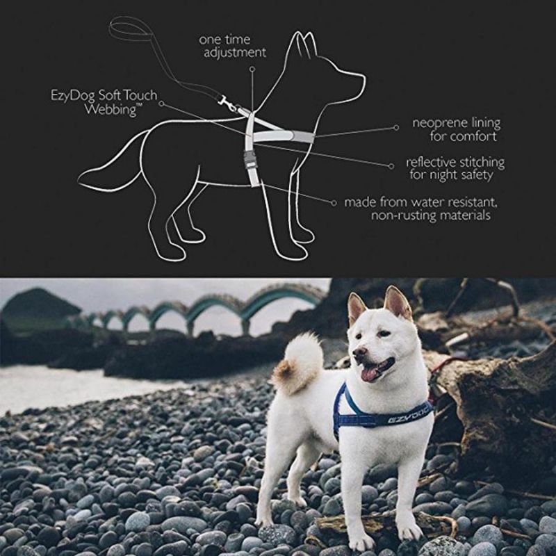 OEM All Kinds of Pet Products, Pet Accessories, Pet Supplier