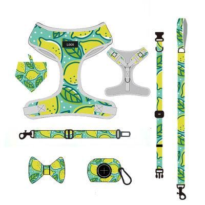 OEM Personal Label Custom Print Pattern Dog Leash and Harness