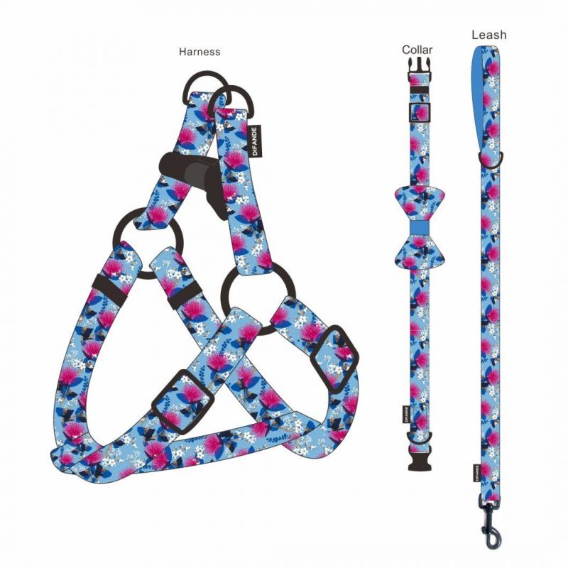 Manufacturer Wholesale Eco-Friendly Organic Polyester Nylon Dog Collar Harness with Leash Set