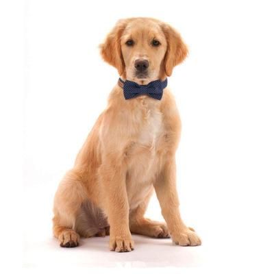 Dog Cat Collar Bowtie, Soft Comfortable, Adjustable Collar