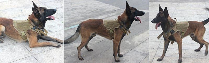 Hands Free Carrying Breathable Hound Harness with Easy and Free Adjustment