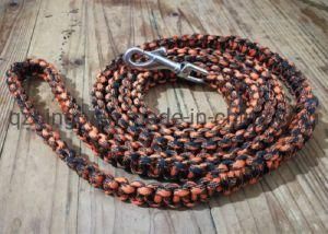 Bingo Hand Made Paracord for Big Dog Leash and Collar