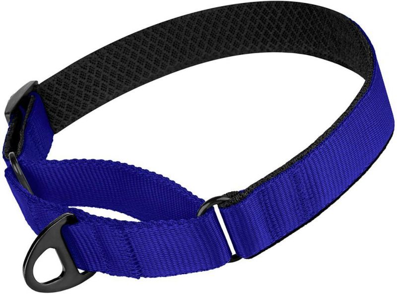 Soft Padded Comfortable Nylon Martingale Dog Collar