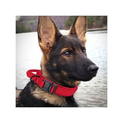 Pet Supplies Wholesale Adjustable Nylon Outdoor Metal Buckle Walking Collars for Dogs
