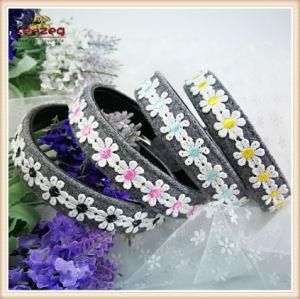 2018 New Daisy Pet Accessories/ Pet Dog Collars Kc0177