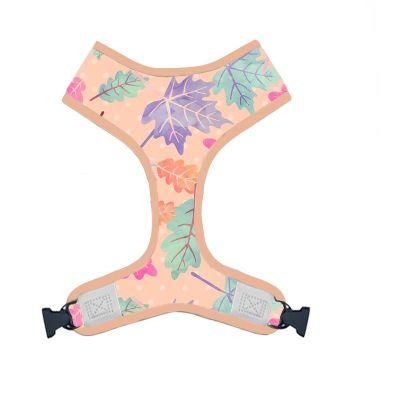2020 Fashion High Quality Pattern Designs with Rubber Logo Mesh Breathable Dog Harness